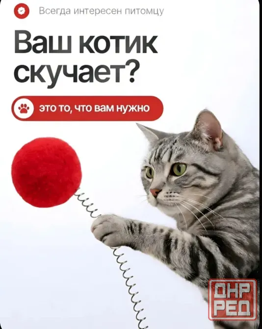 Игрушка для животных Донецк - изображение 1