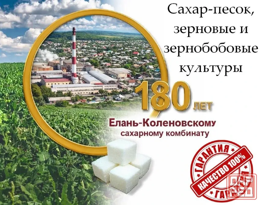 Сахар-песок, зерновые и зернобобовые культурры Луганск - изображение 1