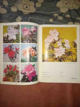 Книга ссср "цветы" большой формат,мелованая бумага,отл.сост Донецк