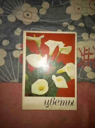Книга ссср "цветы" большой формат,мелованая бумага,отл.сост Донецк