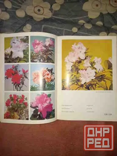 Книга ссср "цветы" большой формат,мелованая бумага,отл.сост Донецк - изображение 2