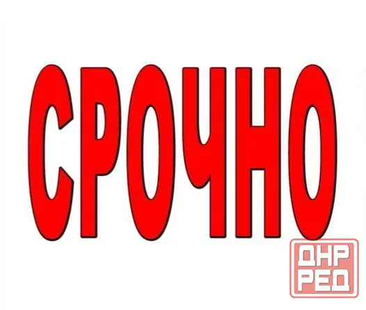 Сдам 1-комнатную квартиру на Черёмушках, Пушка Макеевка - изображение 1