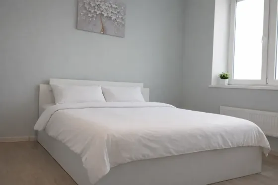 ColorApartments. Молочная жемчужина Королев