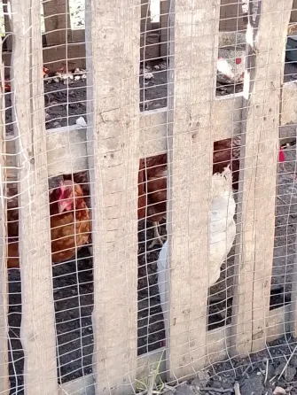 Продам дом в городе Макеевка, Горняцкого района посёлок Грузско- Ломовка Макеевка