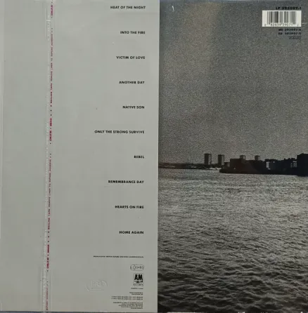Виниловая пластинка LP Bryan Adams - Into The Fire - Донецк