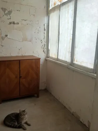 2 ком. 7/9, Обжора, цирк Донецк