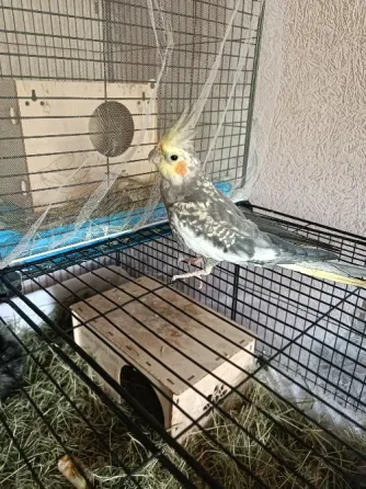Продам или обменяю Донецк