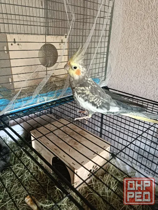 Продам или обменяю Донецк - изображение 2