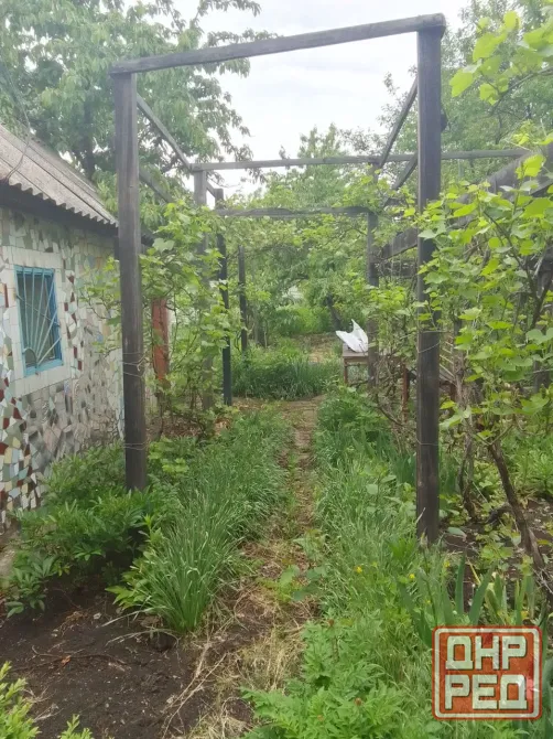 Продам дачный участок в снт мичуринец со скважиной Донецк - изображение 8