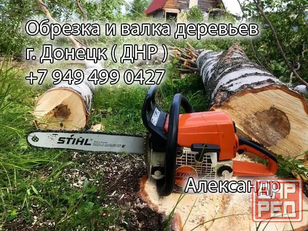 Обрезка и валка деревьеа Донецк - изображение 1