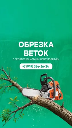 Обрезка веток Снежное, Торез, Шахтерск Снежное