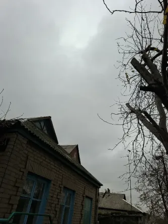 Обрезка веток Снежное, Торез, Шахтерск Снежное