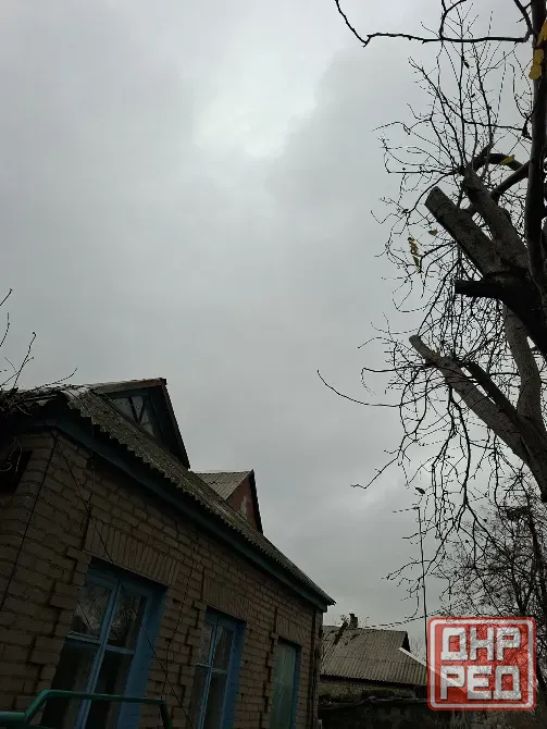 Обрезка веток Снежное, Торез, Шахтерск Снежное - изображение 5