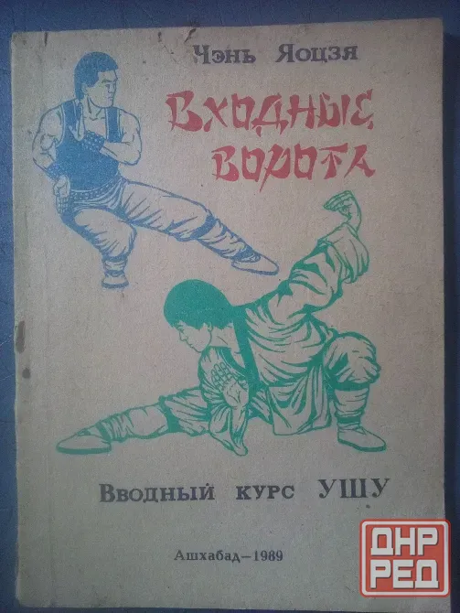 книга Чэнь Яоцзя "Входные ворота" Макеевка - изображение 1