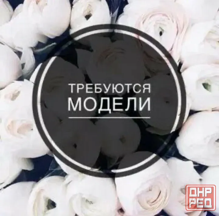 Требуются модели Донецк - изображение 1