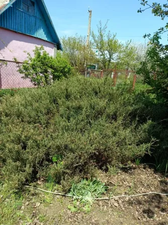 Продам дачу Донецк