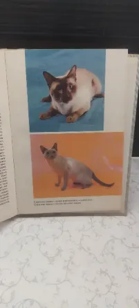 Книга Атлас пород кошек Донецк