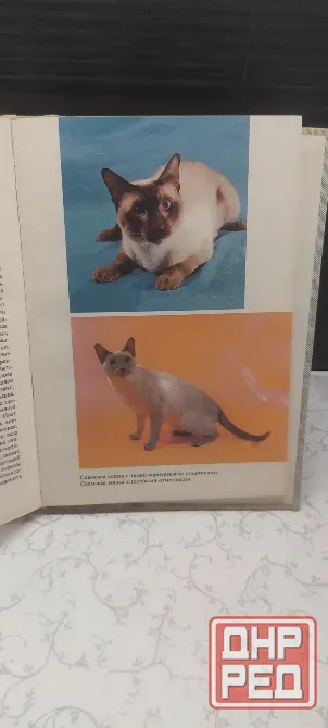 Книга Атлас пород кошек Донецк - изображение 3
