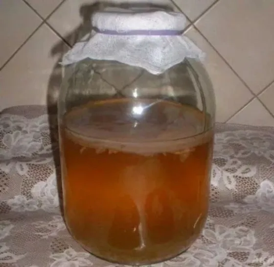 Чайный гриб Донецк