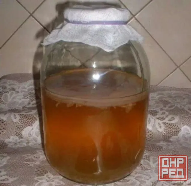 Чайный гриб Донецк - изображение 1