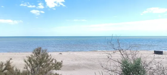 Сдам дачу у моря. Мариуполь