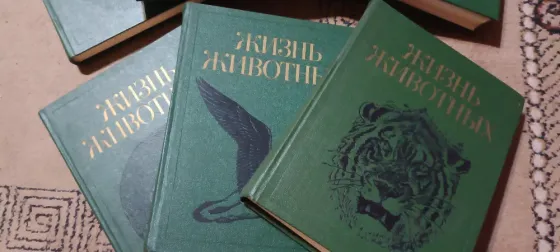 Жизнь животных Донецк
