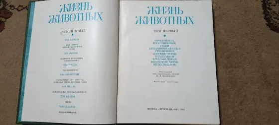 Жизнь животных Донецк
