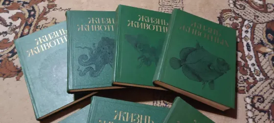 Жизнь животных Донецк