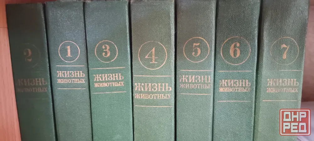 Жизнь животных Донецк - изображение 1