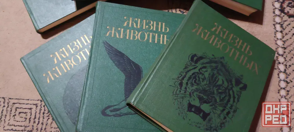 Жизнь животных Донецк - изображение 5