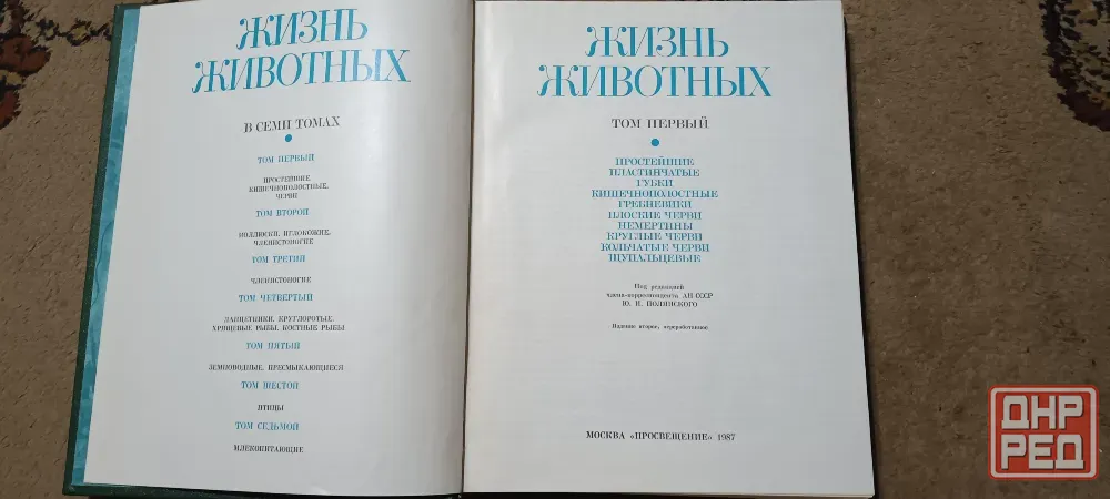 Жизнь животных Донецк - изображение 6