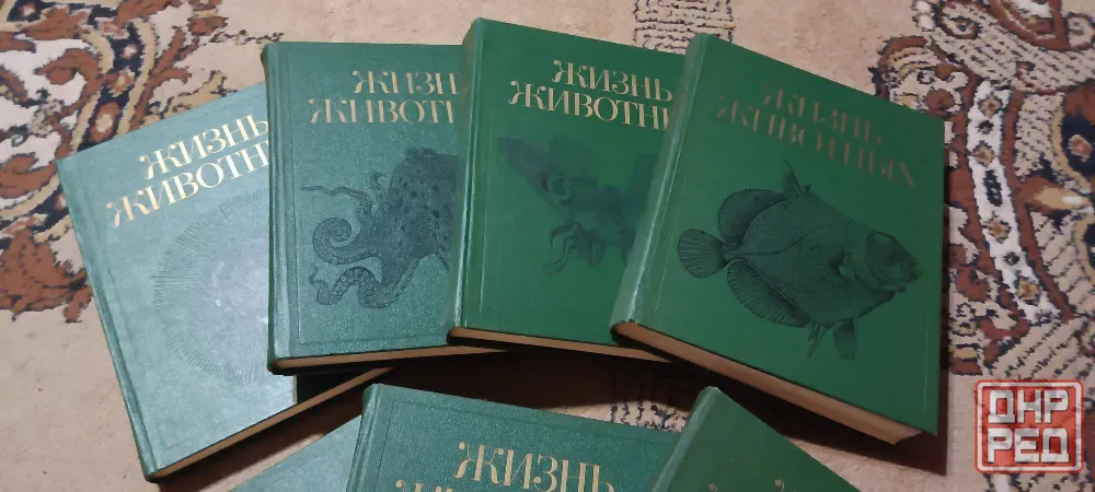 Жизнь животных Донецк - изображение 4