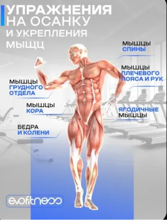Инверсионный стол Донецк