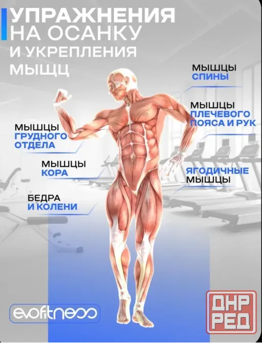 Инверсионный стол Донецк - изображение 4