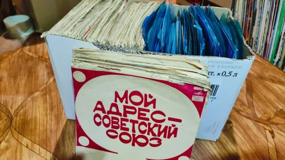 Гибкие пластинки 7 дюймов маленькие миньоны 400 шт Оптом за 500 Донецк