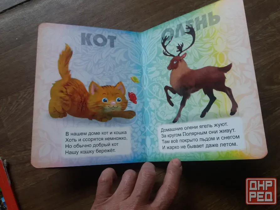 книги детские "веселая азбука" "веселая ферма" Донецк - изображение 5