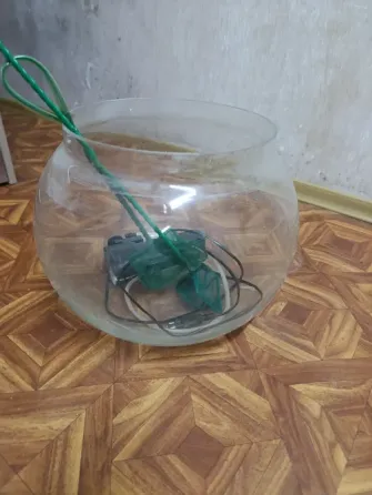 Аквариум Донецк