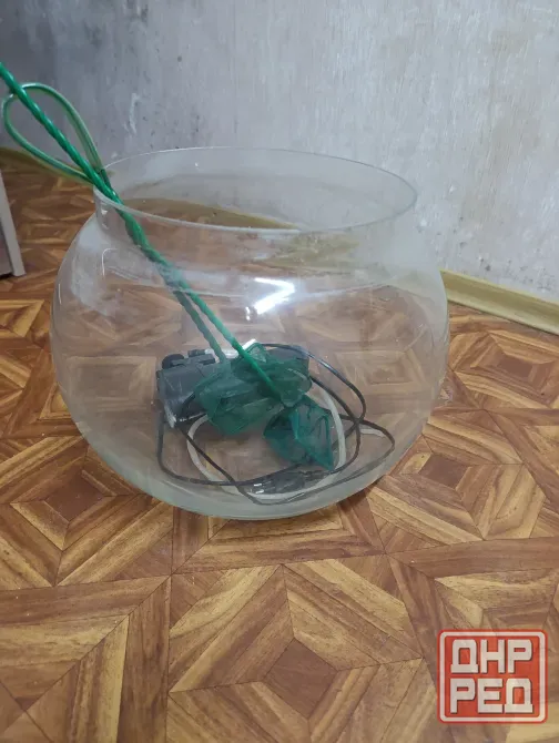 Аквариум Донецк - изображение 1