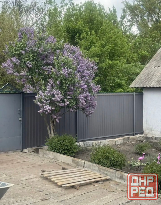 Пpодается уютный дом (квартира на земле) в Горняцком районе, г. Макеевки, пгт Маяк Макеевка - изображение 2