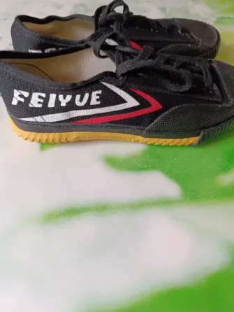 Кеды Feiyue Донецк