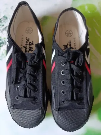 Кеды Feiyue Донецк
