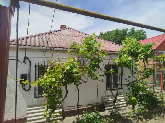 Дом в с. Безыменное. Мариуполь