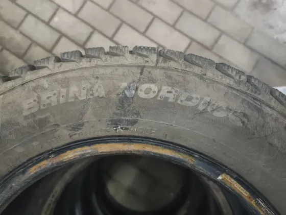 185/65 R14 Viatti Brino Nordico зимняя резина (шип) Донецк