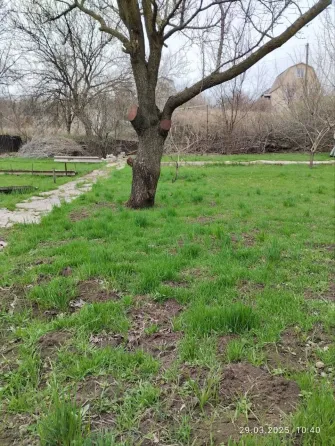 Продается дачный участок. Мариуполь