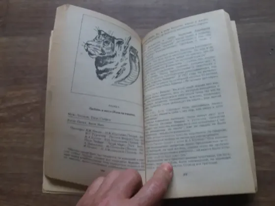 Продам книгу "брачная энциклопедия" Донецк