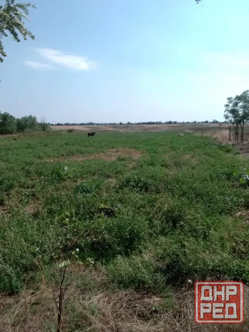 Продам земельный участок 49 соток с дом под капремонт, Ростовская обл., с. Березовка. Ростов-на-Дону - изображение 4