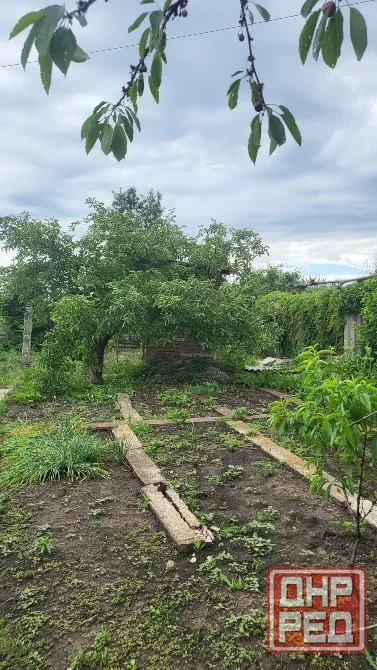 продается от собственника дача в снт виктория макеевка. горнятский район Макеевка - изображение 9