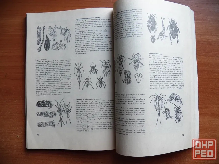 Книга "Твой аквариум" автор Ганс Фрей, 1985 Донецк - изображение 6
