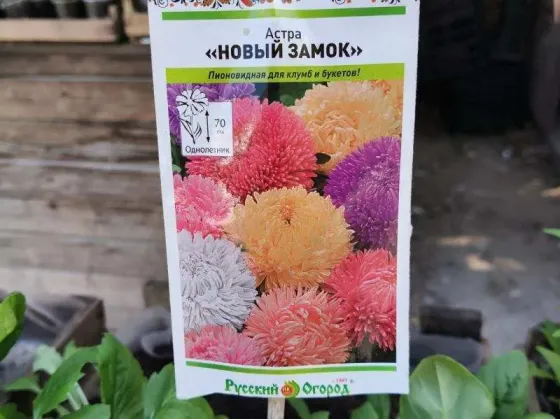 Время украшать сад и огород: крепкая рассада для отличного урожая! Красноярск
