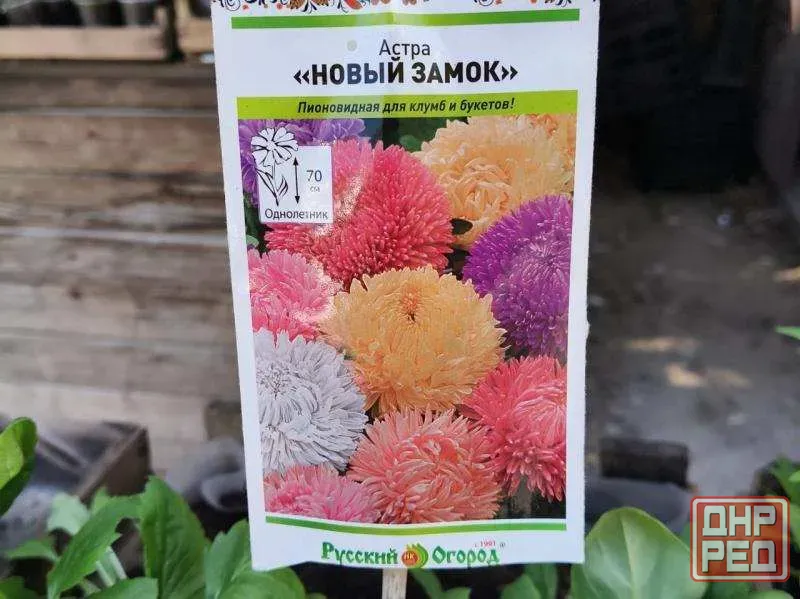 Время украшать сад и огород: крепкая рассада для отличного урожая! Красноярск - изображение 5